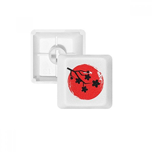 DIYthinker Pincel De Pintura Japón Teclas Patrón Pbt para Teclado Mecánico Blanco OEM No Marca De Impresión