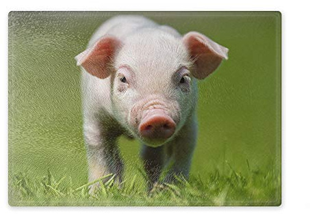 Schneidebrett/Glasschneidebrett 20x28x0,4cm - Motiv: Schwein Hausschwein Ferkel auf einer Wiese | 01