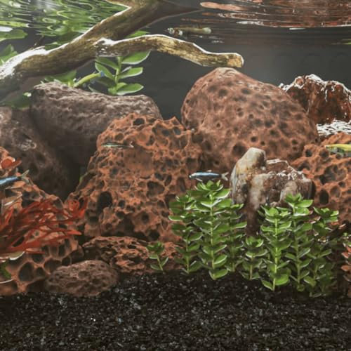 Homgoday Vulkanfelsen 10kg rot 10-30cm Aquarium Dekoration Stein Vulkangestein Fisch Tank Landschaftsbau Felsen Teich Fisch Tank Filter Gasgrills Steine für BBQ Ätherisches Öl Diffusor Stein