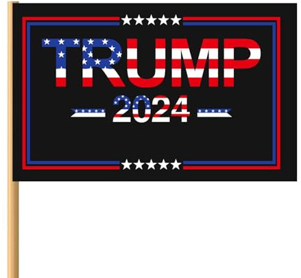 Lnhgh Landsflagga 2024, kampanjflagga 2024 - utomhus bakgrund banner kampanjbanderoller | väderbeständig och blekningsbeständig bakgrundsbanner, gårdsskyltar