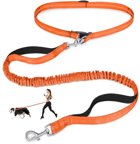 Laqibak Hands Free Dog Leash, Adjustable Waist Leash for Dog Walking, Dual Bungee 4.2-6.7 Feet Long with Reflective Stitches for Walking Hiking Running, Fits 26- 43 Inch Waist, Orange