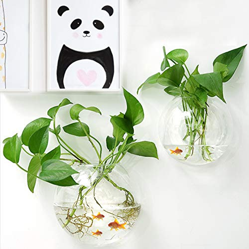 RSTYS Wall Hanging Fish Tank, 2 pcs Wall Mounted Bubble Fish Tank Wall-Mounted Plant Pot Fish Tank Home Decor Transparent for Wall Decor