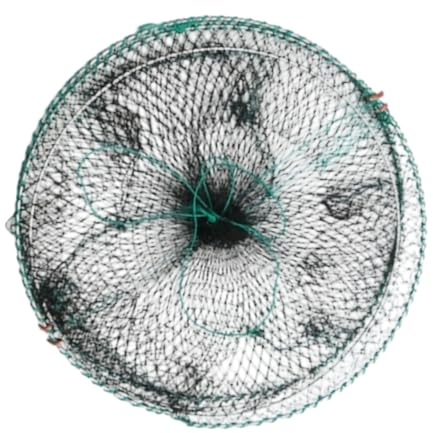 Générique Piège À Crevettes - Filet Pliable Capture Vivante | 30 x 61 cm Piège à Mailles Portable pour Eau Douce et Salée, Lacs, Rivières, Plages, Jetées et Pêche au Homard, Crevettes au