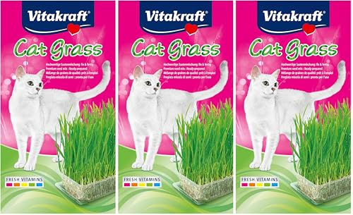 Vitakraft Cat Grass, mélange de graines pour Herbe à Chat, avec vitamines et minéraux (1x 120g) (Lot de 3)