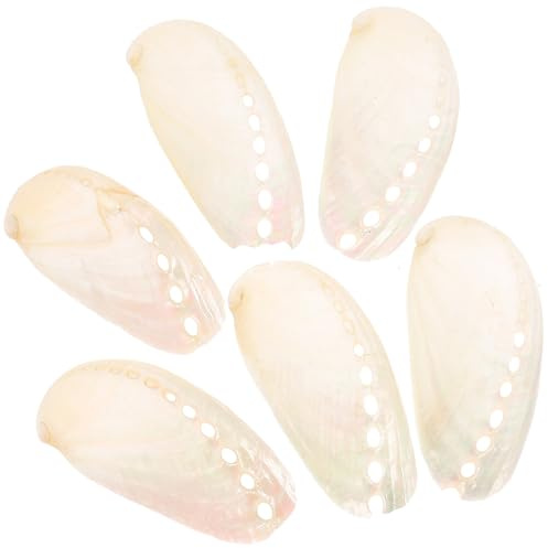 ARTSEWPLY 6 Stück Kleine Natürliche Abalone Muscheln 4–6cm Strand und Hochzeitsdeko Maritimes Aquarium Dekor