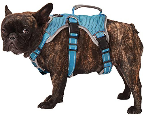 Paworld Sicherheitsgeschirr Hund Ausbruchsicher, Panikgeschirr für Hunde, Mehrzweck-Hundegeschirr, Reflektierend, Verstellbare Weste mit Griff, Hundegeschirr für Große/Mittelgroß Hunde (Blau, S)
