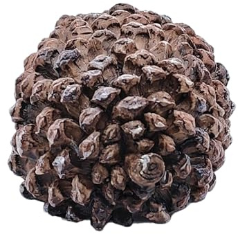 Caja de llaves ocultas de piña,Caja de llaves de piña | Caja para esconder llaves de jardín | Figura ocultadora de llaves de repuesto exterior, pequeñas estatuas de jardín de piña decorativas, caja fu