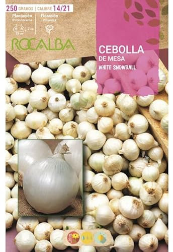 Bulbo de cebolla para plantar variedad white snowball  250gr - Rocalba