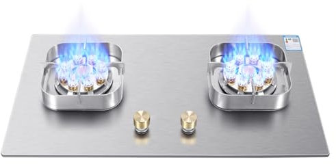 Estufa De Propano,Estufa De Propano Portátil De Doble Quemador,Estufa De Gas De Acero Inoxidable Máximo 17060BTU Adecuado For Cocina RV Y Apartamentos (Color : NG, Size : Style 2)