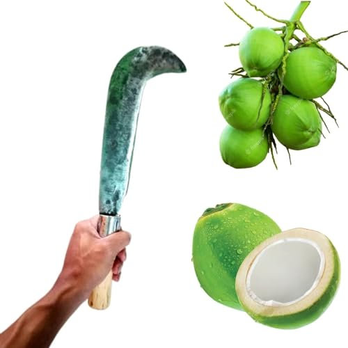 Export Quality - Coltello da taglio per cocco e cocco, manico in legno, stile vintage, in ferro pesante Aruval, utensile da cucina (confezione da 1)