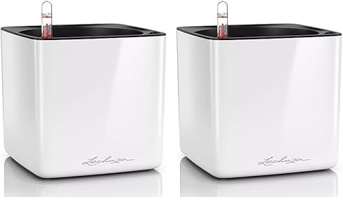 Lechuza Cube Glossy 16 weiß-highgloss 13520 (Packung mit 2)