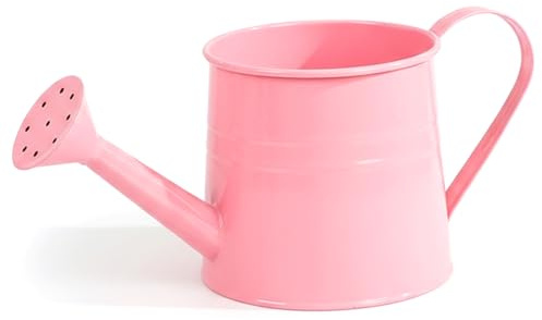 Annaffiatoio da interno piccolo annaffiatoio in metallo con beccuccio a rete stile vintage vaso per piante da interno decorativo e funzionale per fiori e piante.