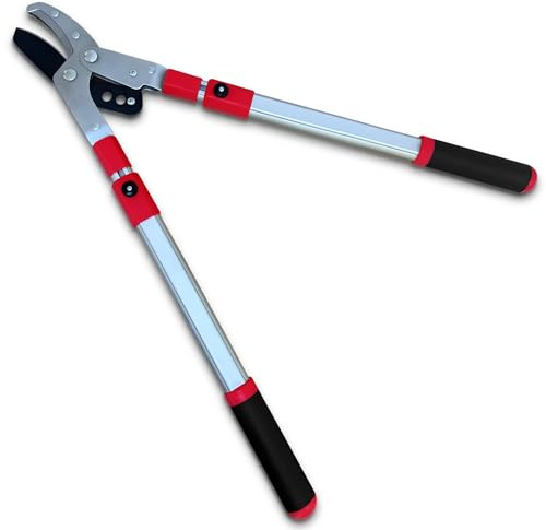 TABOR TOOLS GG22A Telescopic Extendable Anvil Lopper with Compound Action, 27-40 Inch Telescopic Tree Trimmer, Long Handled Branch Cutter with ⌀ 2 Inch Cut Capacity, Chops Thick Branches with Ease.