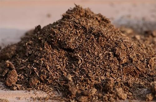 BIO TORBA BIONDA DI SFAGNO FONDO PER TERRARI confezione da 2 kg (1 confezione da 2 Kg)