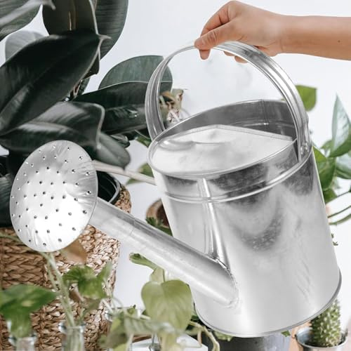 DVTFRUI Metall Gießkanne Aus Edelstahl Mit Brauseaufsatz Für Garten Balkon Zimmerpflanzen Bewässerungskanne Mit Großer Einfüllöffnung Rostfrei Und Langlebig Ideal,10L