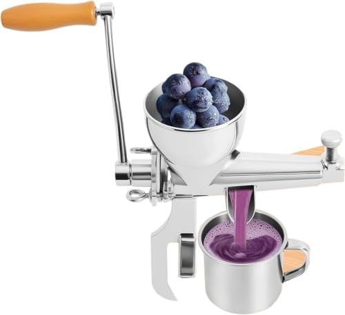 Exprimidor de acero inoxidable | Extractor de jugo lento de manivela para frutas, verduras, pasto de trigo, col rizada, apio, uva, granada, fabricante de jugo fresco saludable