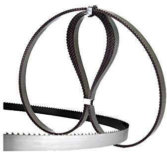 SENO & SENO – Lame per Segaossa Elettrica – Acciaio al Carbonio Temprato, Dentatura di Precisione, Set da 10 Pezzi – Taglio Netto e Pulito, Ideale per Macellerie e Ristorazione (3100x16 mm)