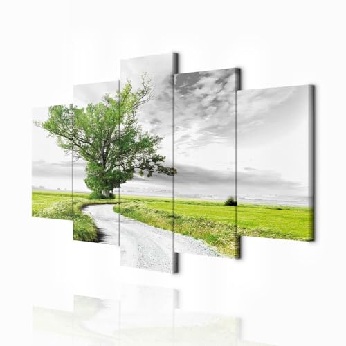 decomonkey - Tableau Acoustique Campagne 100x50 5 Pièces - Impression sur Toile Décoration Maison Isolation Peinture Image Phonique Déco Bureau Nuages arbres fantaisie nature ciel paysage