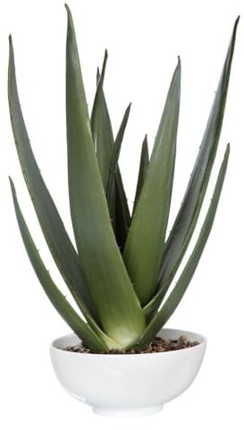 Uttermost Evarado - 30 inch Aloe Planter