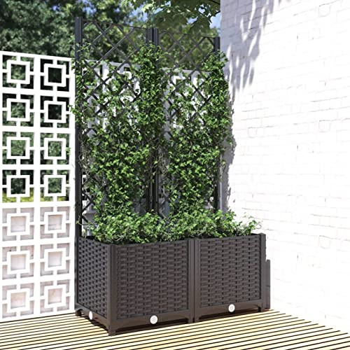 Festnight Jardinera con Celosia Macetero con Enrejado Jardinera Rectangular Macetas jardín Plantas Rosas balcón jardinería Interior Exterior 80x40x136 cm Negro