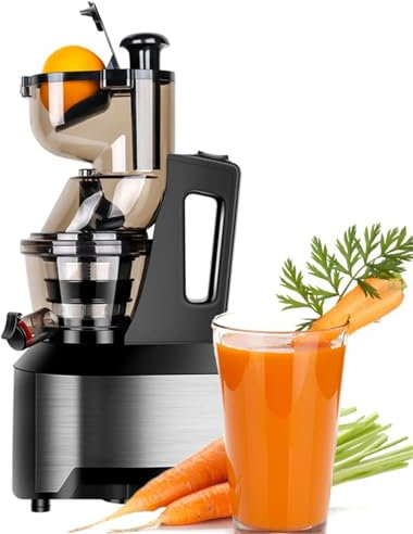 Professional Slow Masticating Juicer Machine, Cold Press Juicer Extractor Stainless Steel Vertical Juice Extractor for High Nutrient Fresh Vegetable and Fruit