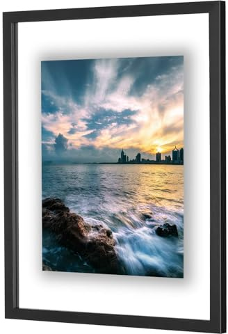 ONE WALL 16x20 Inch Floating Frame, Black Wood Double Glass Float Picture Frame Display 16x20/11x14 Inch Photos or Plant or Petal Specimens for Wall Hanging - Mounting Accessories Included