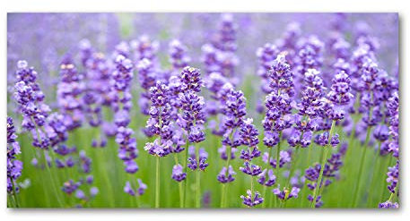 Tulup Leinwandbild - Wandkunst - Drucke auf Leinwand - Leinwanddruck -100x50 cm - Blumen & Pflanzen - Lila - Lavendel