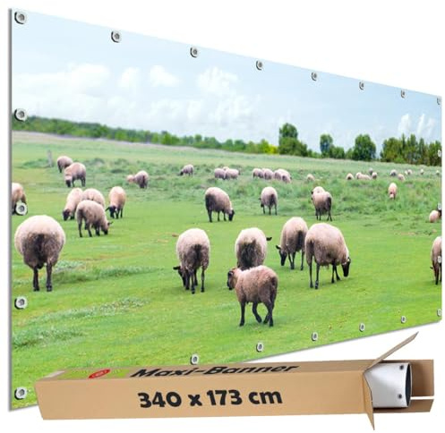 TRIOSK Sichtschutz Garten Dekoration Plane groß mit Natur Motiv Schaf Herde Weide Motivbanner blickdicht für Terrasse Zaun Gartenzaun Gartenposter PVC Zaunblende 340x173 cm