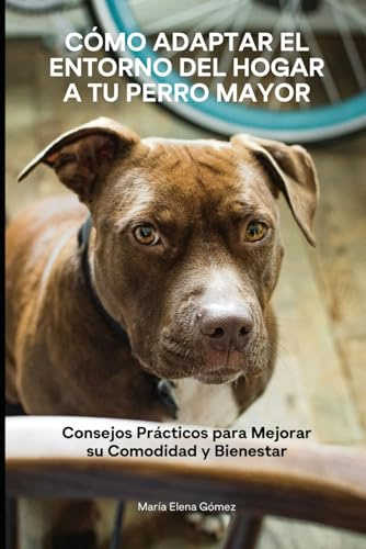 Cómo Adaptar el Entorno del Hogar a tu Perro Mayor: Consejos Prácticos para Mejorar su Comodidad y Bienestar