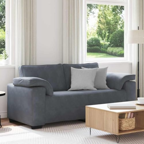 HETFTJN Zweisitzer Sofa Samt 180x77x82 cm Dunkelgrau mit gepolsterten Armlehnen dickem Schaumstoffsitz Recamiere für kleine Wohnzimmer Schlafzimmer Büro und Balkon