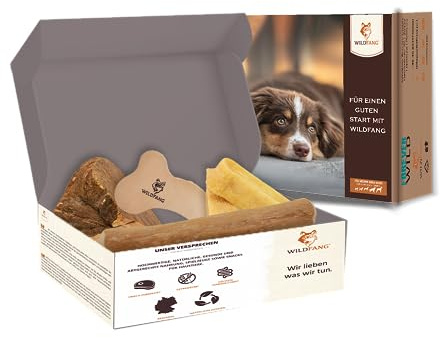 Wildfang® Willkommen Streuner Kauspielzeug Set für Hunde – Natur Hundespielzeug & Welpenspielzeug für kleine Hunde mit Hartkäse Kaustange Kauwurzel Baumheide Leder Kauknochen & Kaffeeholz für Hunde