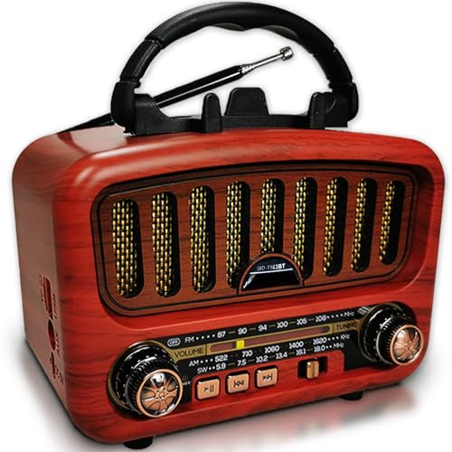 Radio Portatile Bluetooth 5.0 con Altoparlante Grande 5W - Piccola Radiolina AM/FM/SW con Funzioni USB/TF/AUX, Colore (Oro)