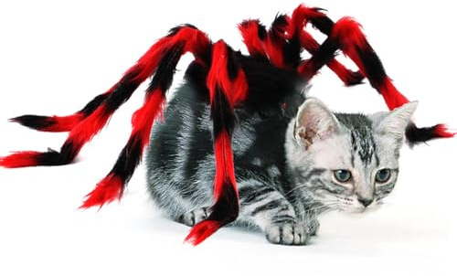 Cat Spider Dräkt,Spider Dog Kläder | Pet Cosplay Kläder,Klä kostym, hundkläder, rolig skräckdräkt för Halloween-dekoration