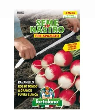 Ravanello gigante Seme a nastro