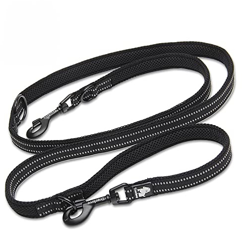 WINHYEPET 7 en 1 Laisse pour Chien Multifonctionnelle(Noire,M) | Laisse D'entraînement pour Animaux de Compagnie Truelove Laisse pour Chien Polyvalente,Confortable,en Nylon et Réfléchissante