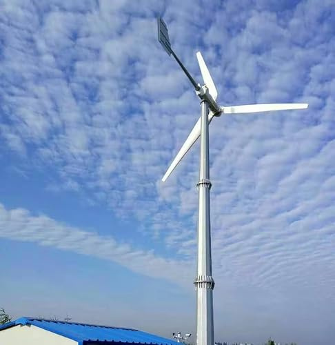 8000W 3-Phasen Horizontale Windkraftanlagen komplettset Windturbinen Windgenerator Stromerzeuger 48V 96V 220V 380V 3 Klingen Windmühle Windenergieanlage für einfamilienhäuser
