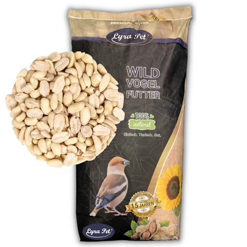 Lyra Pet® | 10 kg Erdnusskerne Splits | Neue Ernte | Ganzjahres Vogelfutter für Wildvögel | Reich an Proteinen & Nährstoffen | Schalenfreie, Geteilte Erdnüsse | Auch Ideal für Balkon & Terrasse | Wildvogelfutter Ganzjährig - Nährstoffreiches Streufutter - Energiespender für Wildvögel - Für Sommer und Winter