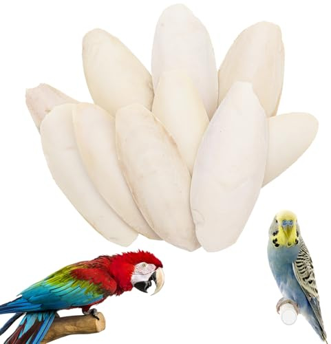 10 Installés 8-11cm OS de Seiche Tore, Os de Seiche Oiseaux, Adapté aux Oiseaux, Aux Tortues et aux Reptiles, Peuvent également être Utilisés comme Jouets.