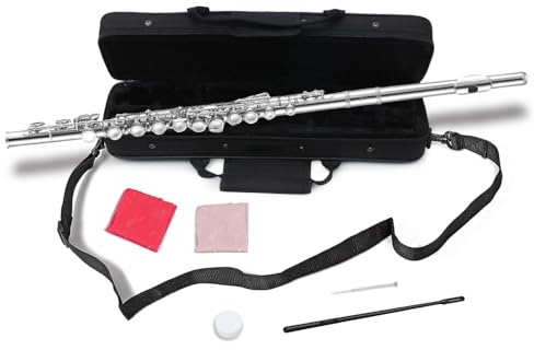 Conboxus C-Flöte für Anfänger, 16 Tasten, geschlossenes Loch, C-Flöte mit Hartschalenkoffer und Reinigungsset, komplettes Starterinstrument für Anfänger und junge Musiker (Silber)
