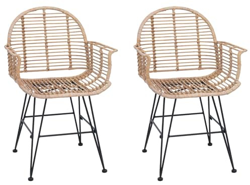 vidaXL Sedia da Pranzo 2 PCS Naturale 44 x 44 x 74 cm Rattan e Ferro, Sedia da Pranzo Comoda, Rattan Moderno, mobili Funzionali, Poltrona Elegante, Seduta Interna Minimalista