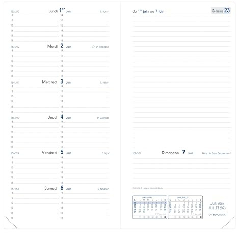 Quo Vadis - Kalendereinlagen – 2026 – Italnote B – Wochenkalender horizontal – Französisch – Mitte Dezember bis Dezember – 8,8 x 17 cm – weißes Papier