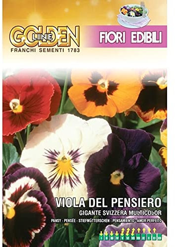 SEMI DI VIOLA DEL PENSIERO GIGANTE SVIZZERA MIX EDIBILE FRANCHI SEMENTI