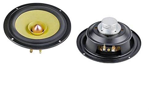 13,25 cm haut-parleur complet NdFeB haut-parleur tweeter Mid Woofer coton lin fibre cône pour réunion fond unité 2 pcs haut-parleur bibliothèque