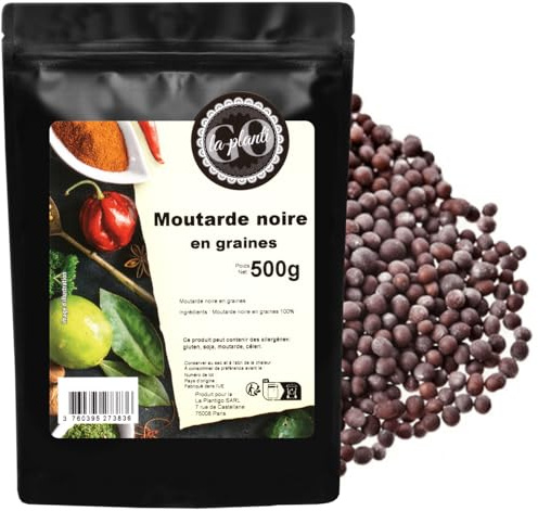 Moutarde noire en graines 500 g - LA PLANTIGO