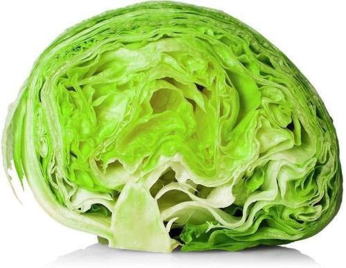 Pinkdose lattuga iceberg Semi di Pinkdose Seed