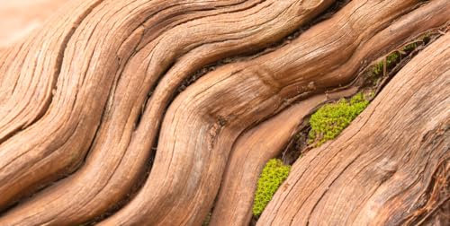 Magnettafel Pinnwand XXL Holz Naturholz Holzoptik hell Größe 120 x 60 cm