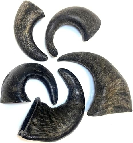 Maltbys' Stores 10x Small Buffalo Horns 100% Natural Dog Treats Chews [LODC]