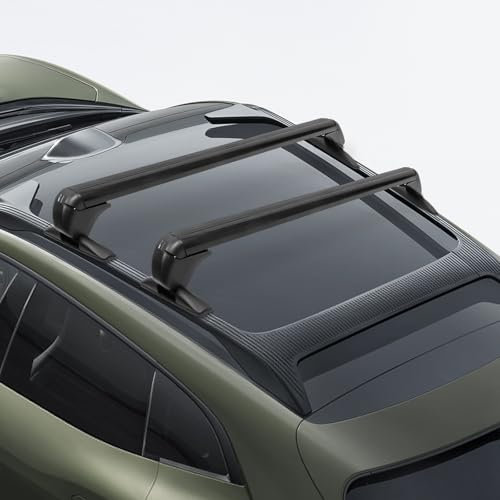 Universal Dachträger Aluminium 124cm für PKW 75 kg Traglast zerstörungsfreie Montage inkl Diebstahlschutz mit 2 Schlüsseln schwarz (Nur für die meisten 4- oder 5-Türer-Autos)