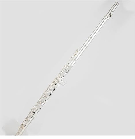 G Tune Altflöte, 16 geschlossene Klappen, versilbert, professionelles Musikinstrument