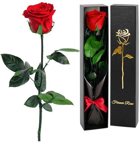Naunauya Infinity Rose im Glas – Ewige Rose mit Glitzer – Konservierte Rose als Geschenk für Ehefrau, Freundin – Romantisches Blumen Geschenk zum Jahrestag, Valentinstag, Geburtstag